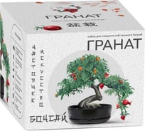 Набор для создания бонсай Сад Радости гранат sr-001