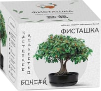Набор для создания бонсай Сад Радости фисташка sr-004