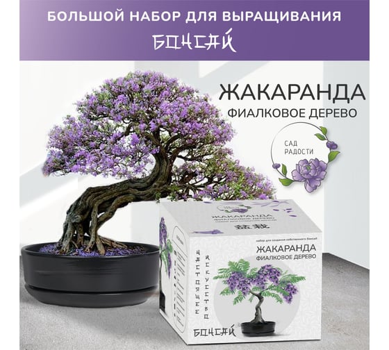 Набор для создания бонсай Сад Радости жакаранда sr-002