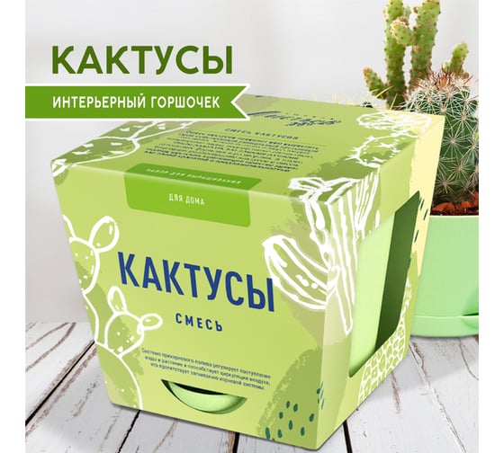 Набор для выращивания растений Тысяча Листьев кактусы tl-035