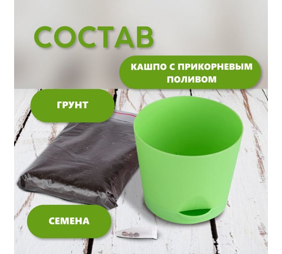 Набор для выращивания растений Тысяча Листьев кактусы tl-035