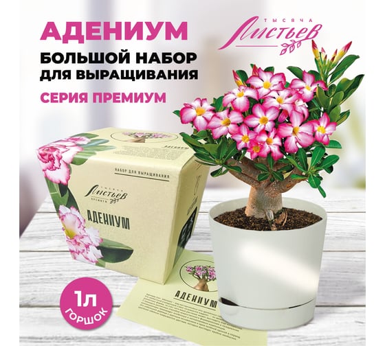 Набор для выращивания растений Тысяча листьев Премиум адениум tl-027