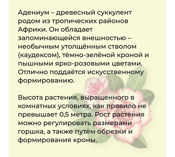 Набор для выращивания растений Тысяча листьев Премиум адениум tl-027