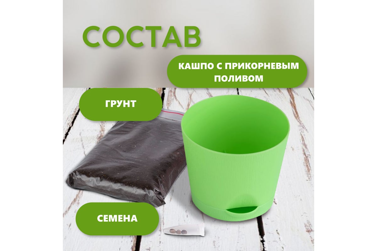Набор для выращивания растений Тысяча Листьев эвкалипт лимонный tl-036 ...