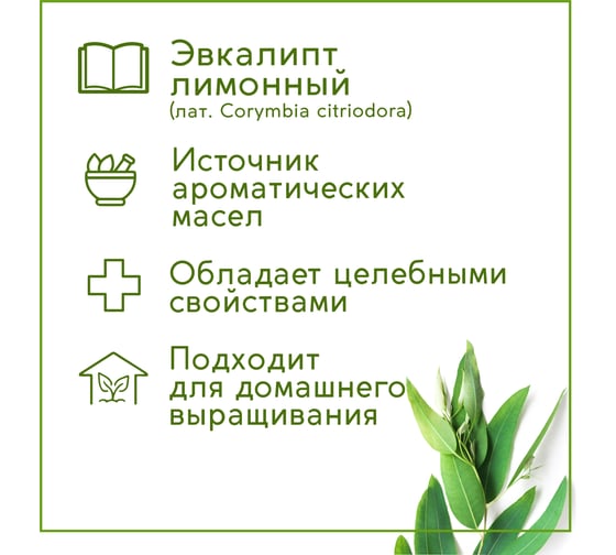 Набор для выращивания растений Тысяча Листьев эвкалипт лимонный tl-036