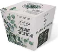 Набор для выращивания растений Тысяча листьев Премиум эвкалипт серебристый tl-038