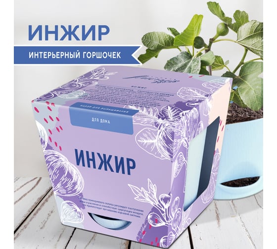 Набор для выращивания растений Тысяча Листьев инжир tl-032