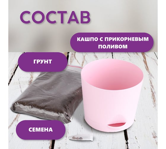 Набор для выращивания растений Тысяча Листьев сумасшедшая роза tl-033
