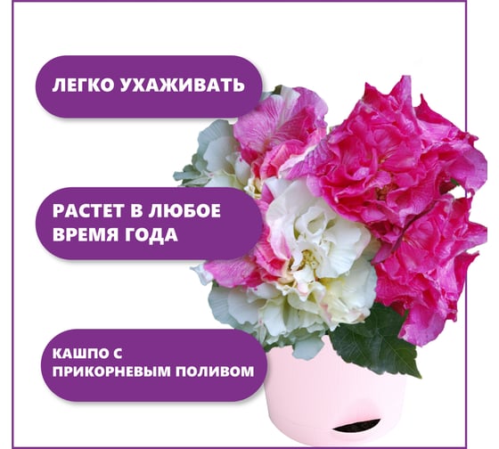 Набор для выращивания растений Тысяча Листьев сумасшедшая роза tl-033