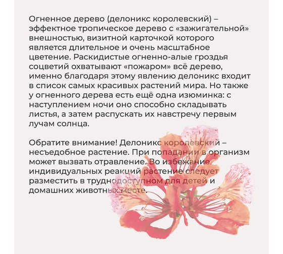 Набор для выращивания растений Тысяча листьев Премиум огненное дерево tl-037