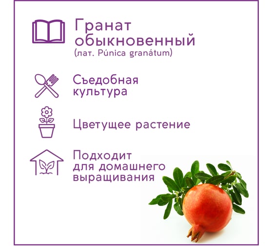 Набор для выращивания растений Тысяча Листьев гранат обыкновенный tl-031