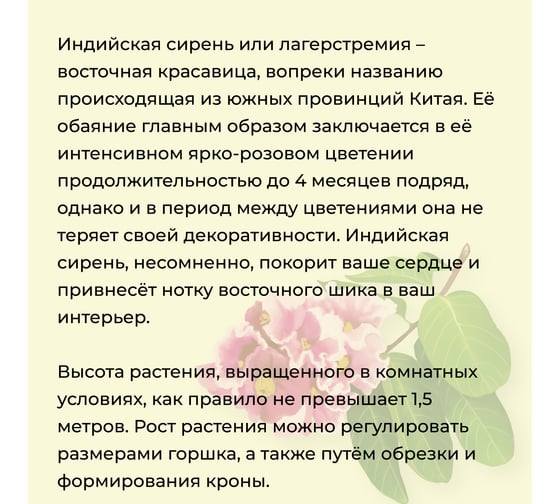 Набор для выращивания растений Тысяча листьев Премиум индийская сирень tl-029
