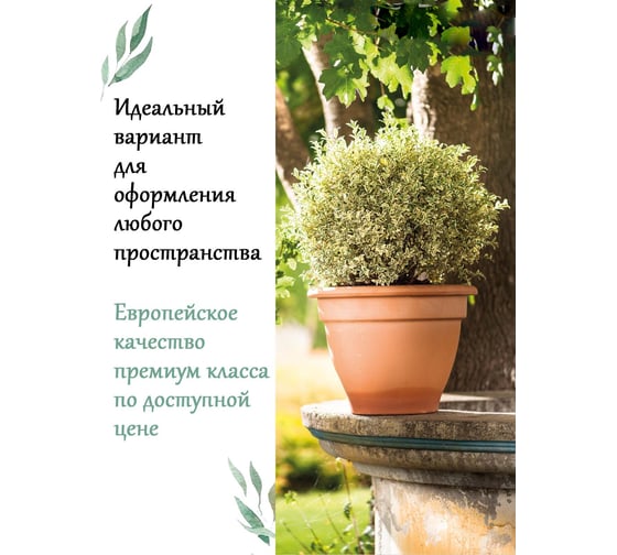 Горшок Deroma campana диам. 14 см 04140