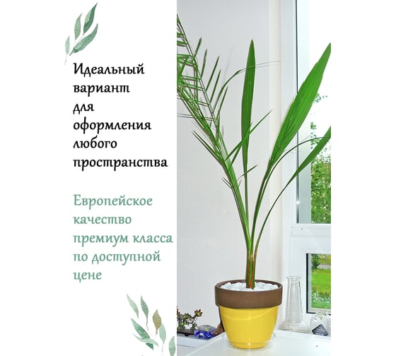 Горшок Deroma паладио желтый, 16 см D1716G
