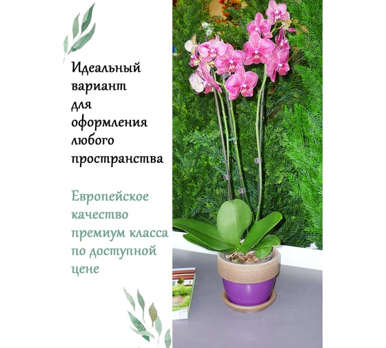 Горшок Deroma паладио фиолетовый, 20 см D1720W