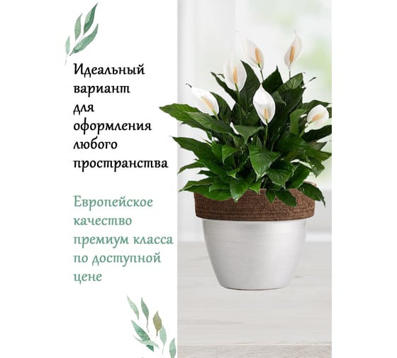 Горшок Deroma паладио хром 16 см D1716C