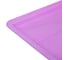 Рассадный поддон INBLOOM 39x16x1 см, 5 цветов 174-212 5