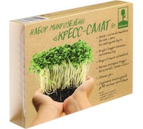 Набор микрозелени INBLOOM Кресс-салат 179-300