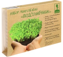 Набор микрозелени INBLOOM Подсолнечник 179-301