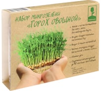 Набор микрозелени INBLOOM Горох овощной 60 г 179-298
