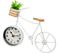 Велосипед с суккулентом Д280 Ш90 В240, белый Вещицы Fancy52