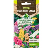 Семена Тимирязевский Питомник цветы статица Радужная смесь 0.1 г Of000120510