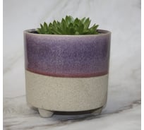 Кашпо Scheurich Kübel Piaff sandy purple керамика, диаметр 14 см, высота 135 мм, песочно-фиолетовое 063326