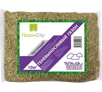 Семена газонных трав ГазонCity Настоящий Теневыносливый 0.3 кг 4650243008354и