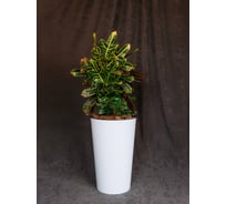 Кашпо для цветов ООО "БЕРГ МОЛД" аттика 24 л, белое 7246505