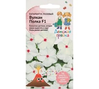 Семена Детская грядка Катарантус розовый Вулкан Полка F1 5 шт 126403