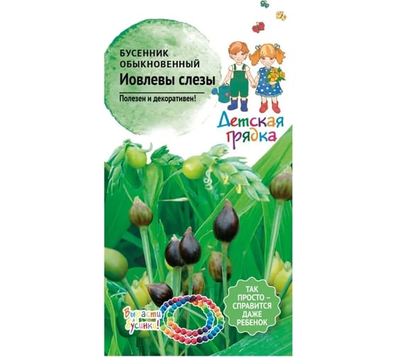 Семена Детская грядка Бусенник обыкновенный Иовлевы слезы 1 г 124228