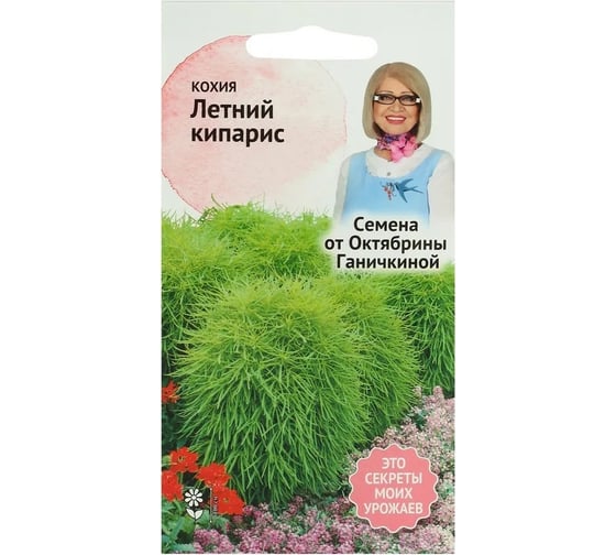Семена ОКТЯБРИНА ГАНИЧКИНА Кохия Летний кипарис 0.5 г 119254 1
