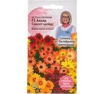 Семена ОКТЯБРИНА ГАНИЧКИНА Остеоспермум Акила Сансет Шейдс F1 5 шт 124313