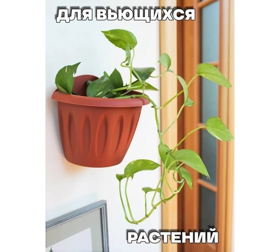 Настенное кашпо Martika Фелиция терракотовый, 24 см С122Т