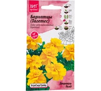 Бархатцы Агросидстрейд Дюранго Голд АСТ 126369