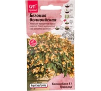 Бегония Агросидстрейд боливийская Копакабана F1 Триколор АСТ 126371