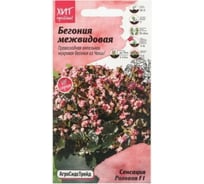 Межвидовая бегония Агросидстрейд Сенсация Розовая F1 АСТ 126380