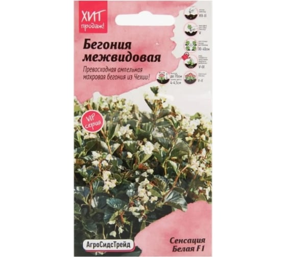 Межвидовая бегония Агросидстрейд Сенсация Белая F1 АСТ 126379 1