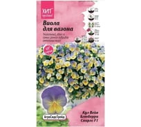 Виола Агросидстрейд Кул Вейв Блюберри Свирл F1 АСТ 126381