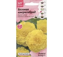 Бегония Агросидстрейд Америгибрид Раффлд Еллоу F1 АСТ 124221