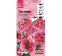 Глоксиния Агросидстрейд Импресс F1 Ред Споттет АСТ 124243