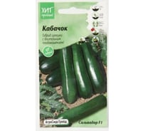 Кабачок Агросидстрейд Сальвадор 1 г АСТ 124249