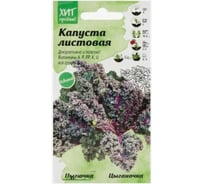 Листовая капуста Агросидстрейд Цыганочка 0,3 г АСТ 126395