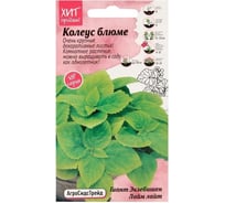 Колеус Агросидстрейд блюме Гиант Экзебишен Лайм лайт АСТ 126404