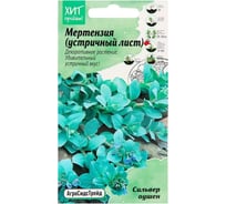 Мертензия Агросидстрейд Устричный лист Сильвер Оушен АСТ 126413