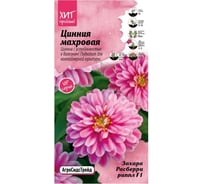 Махровая цинния Агросидстрейд Захара Расберри Риппл F1 АСТ 124400