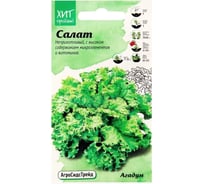 Салат Агросидстрейд Агадум 1г АСТ 126517