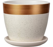 Горшок ООО КОМПОЗИТ Голден бутон №8 КБ-Б8-286-03