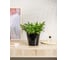 Горшок для цветов Idiland Rosemary D 160 мм, 1.6 л, с дренажной вставкой, черный 221605430/01 5