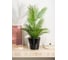 Горшок для цветов Idiland Rosemary D 230 мм, 5 л, с дренажной вставкой, черный 221605930/01 3